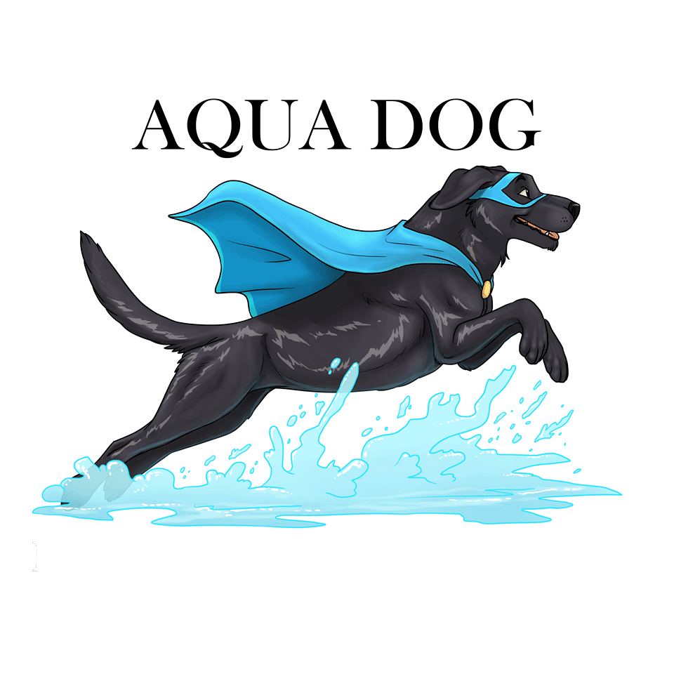 Aqua Dog NI